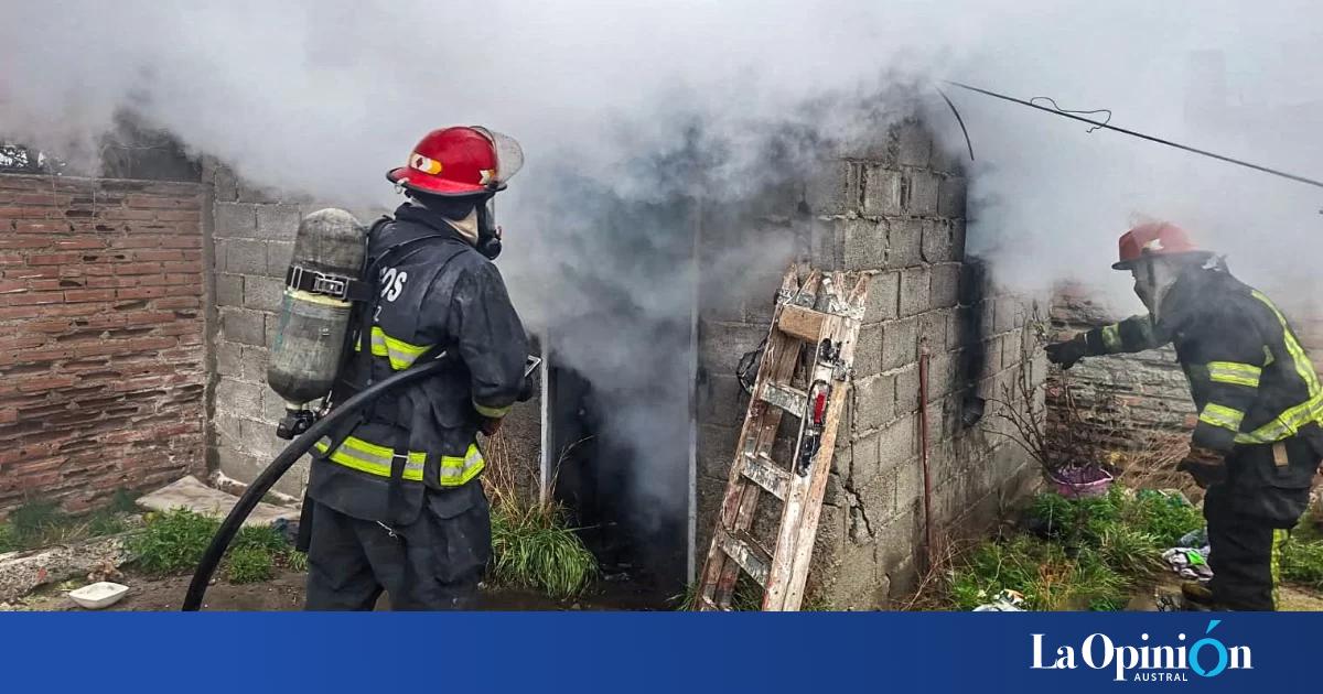 Río Gallegos: una salamandra provocó un principio de incendio en una vivienda