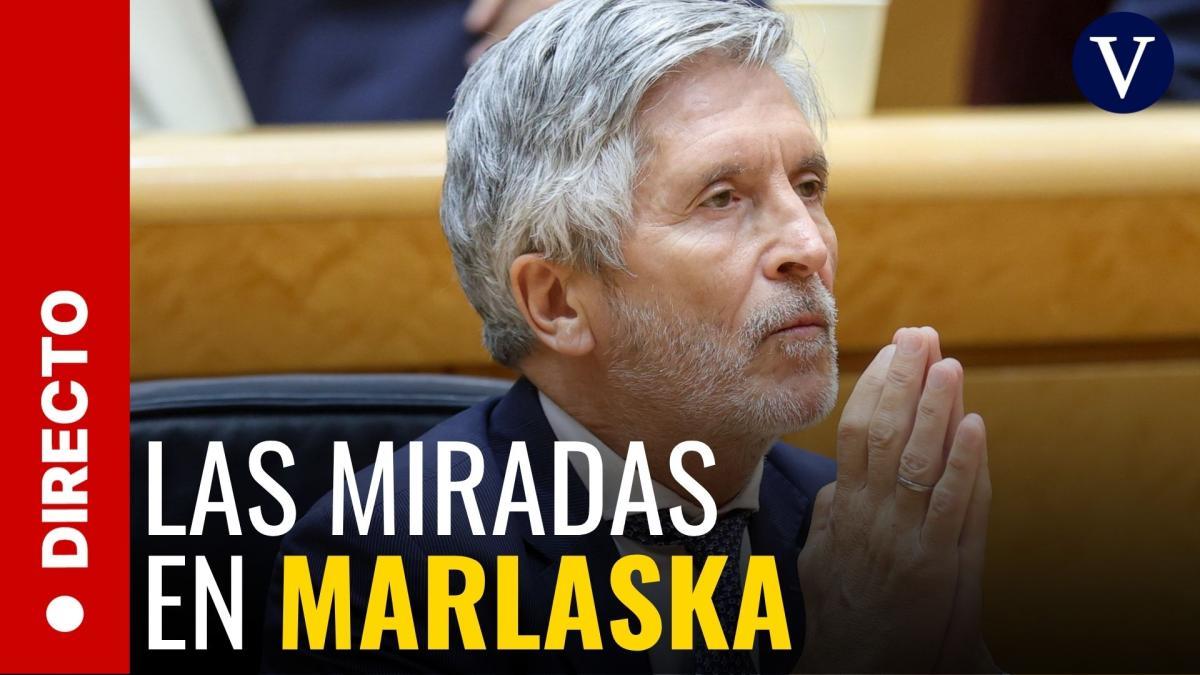 Sesión de control al Gobierno en el Congreso
