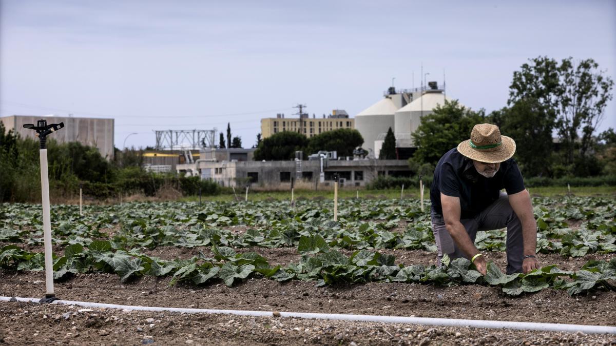 El incremento del precio de comer en el área de Barcelona "sobrepasa" al de los salarios