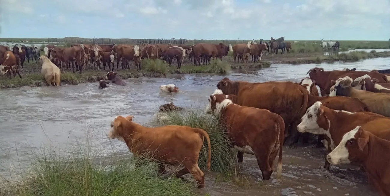 El agro mira al cielo: prevén un Niño de considerable intensidad para la próxima campaña