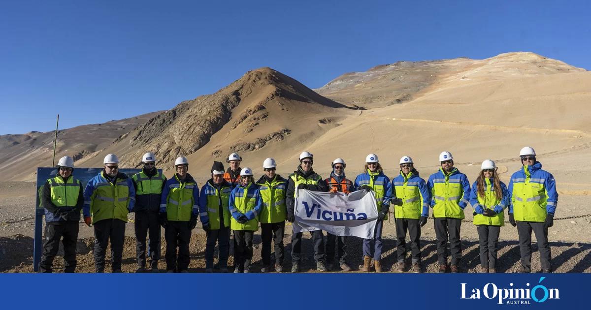 Inversión en Argentina: de 40 proyectos presentados en el RIGI, 19 son mineros