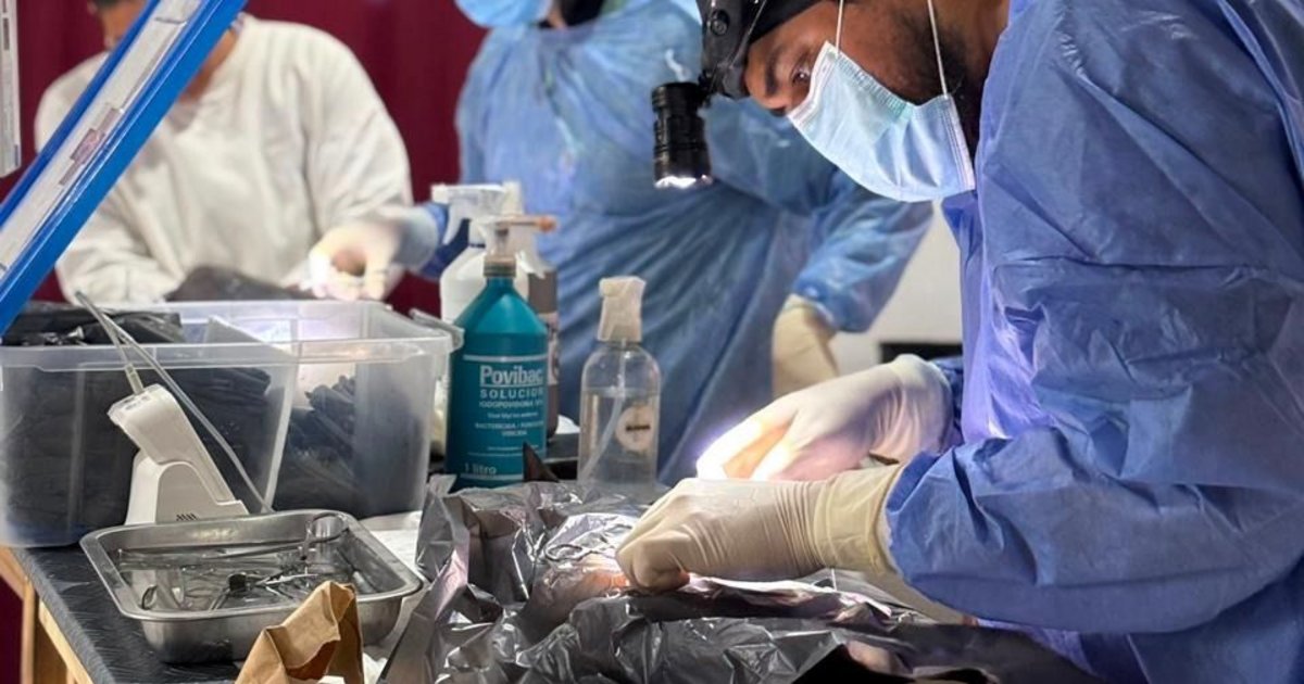 Más de 150 atenciones en una jornada de cuidado animal