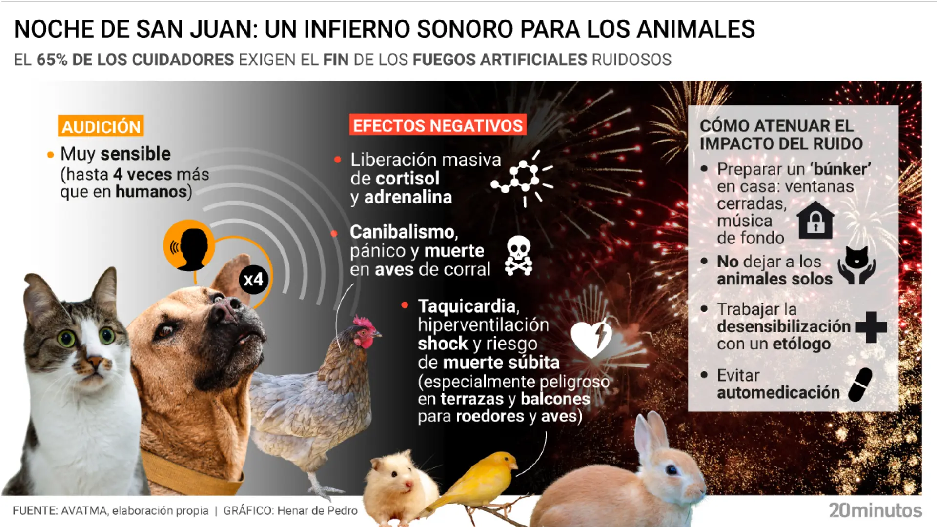 Llega la Noche de San Juan, un infierno sonoro que amenaza a perros, gatos, aves y otros animales