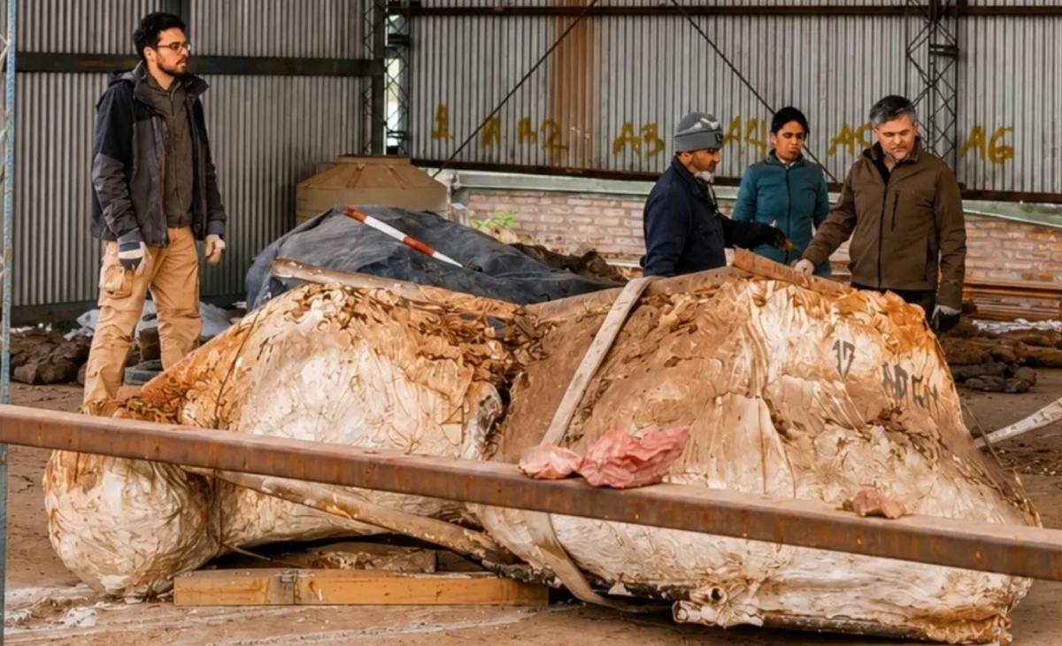 El gigante de Añelo: investigan si este dinosaurio es una especie nueva