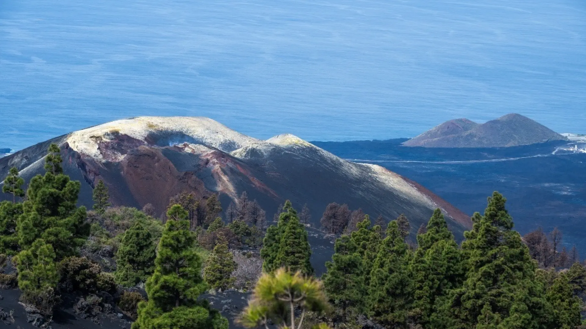 Identifican en el volcán de La Palma microorganismos para estudiar la vida en Marte