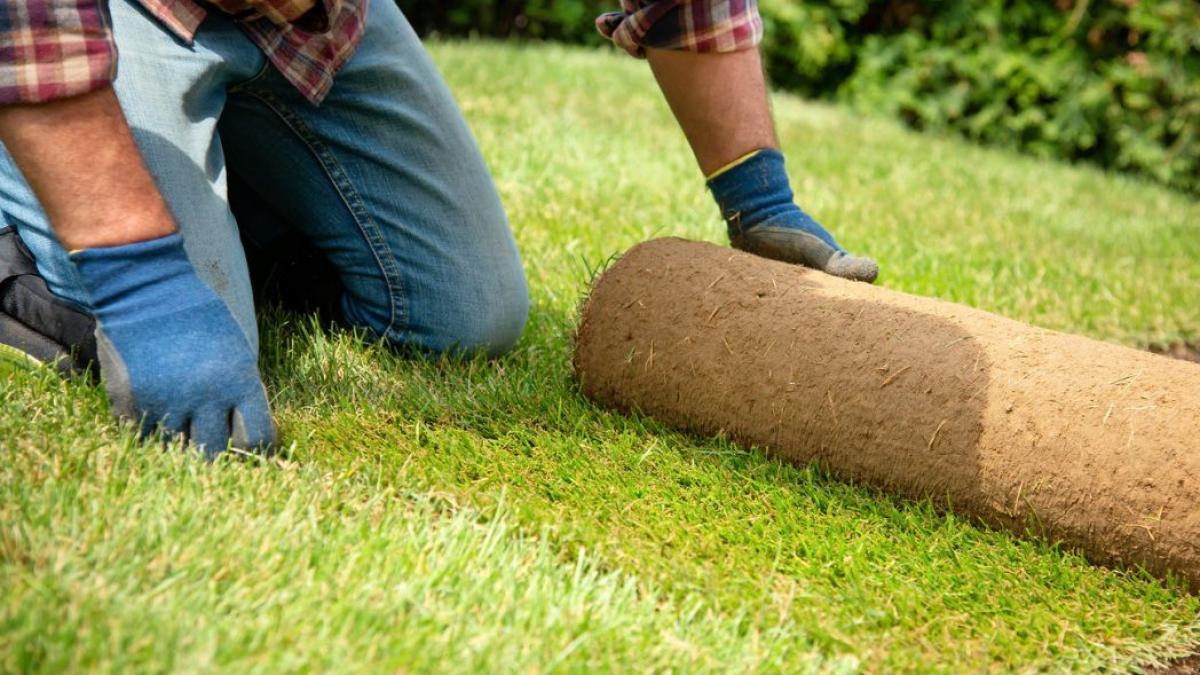 Despídete del césped artificial en la terraza: la solución natural que no necesita mantenimiento