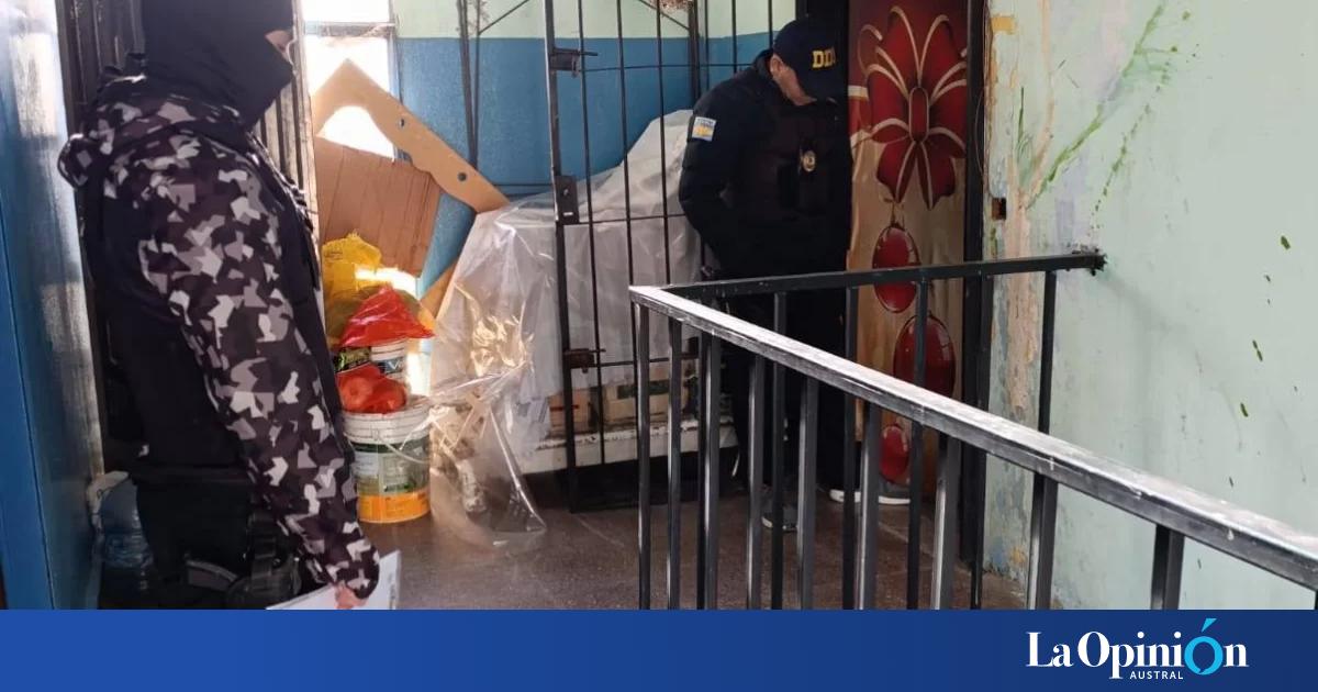 Fueron por una causa de amenazas y encontraron un invernadero de marihuana