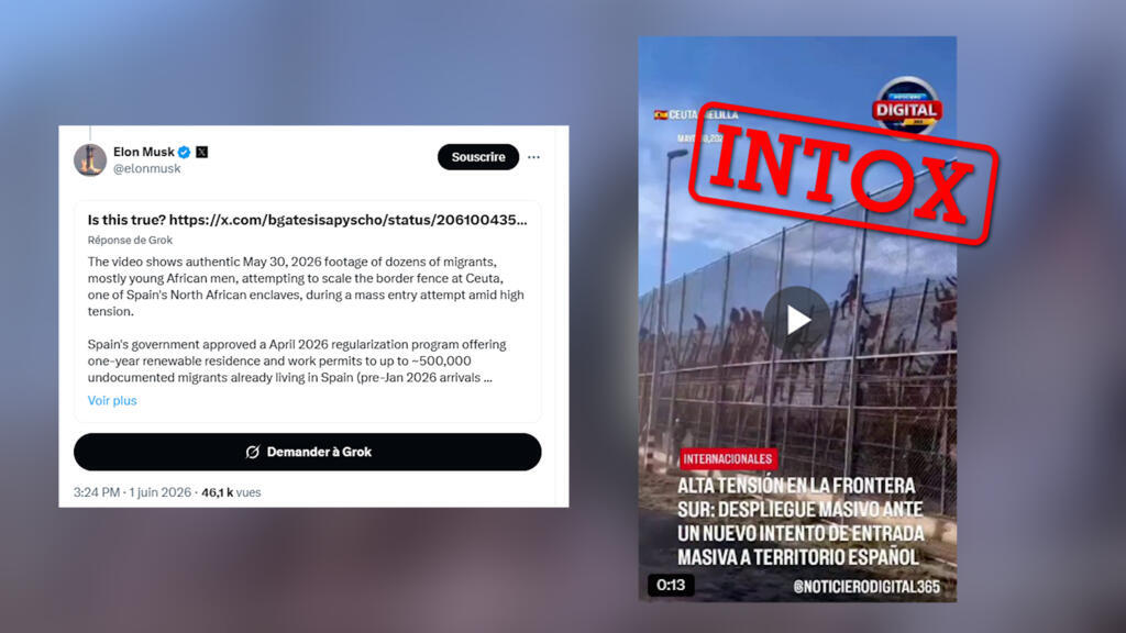 Quand Elon Musk utilise Grok pour vérifier un post... et se fait piéger par sa propre IA