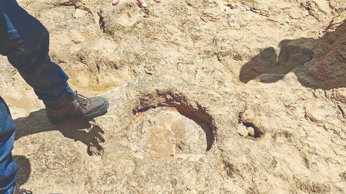 Maltrata regresa al mapa arqueológico de Veracruz y busca abrir un museo de sitio