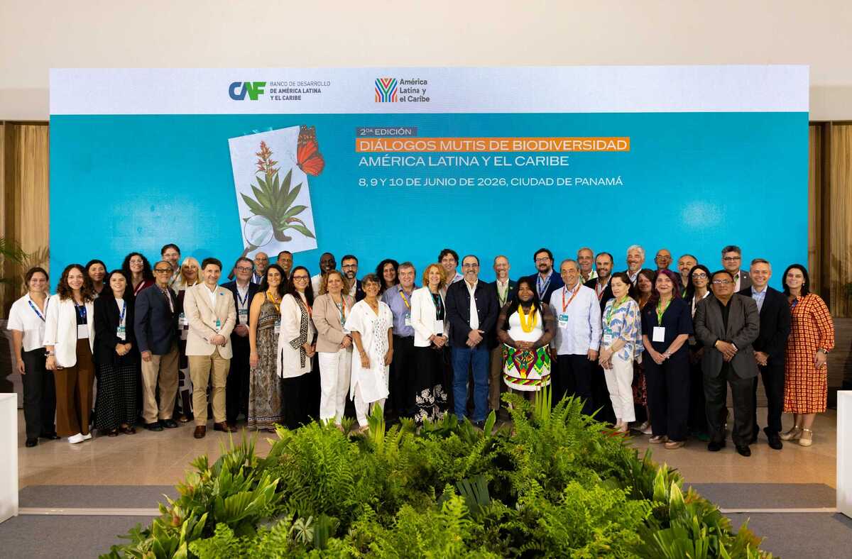 Crimen organizado impacta biodiversidad y economía de México: Semarnat