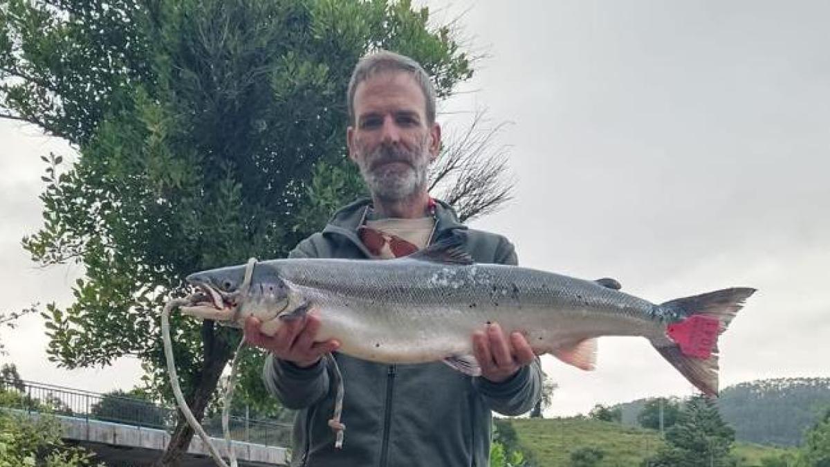 El 'Campanu' cántabro, el primer salmón de la temporada, pesa 4,7 kilos y se pagó a 6.500 euros