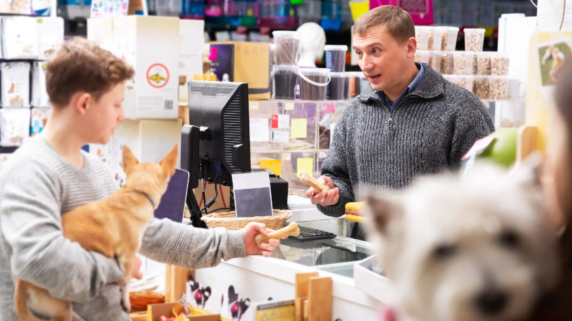 La inflación también llega al comedero: así cambian las compras para mascotas