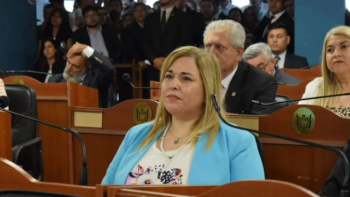 Cuestionan la designación de Verónica Vallejos en la comisión de Infancias