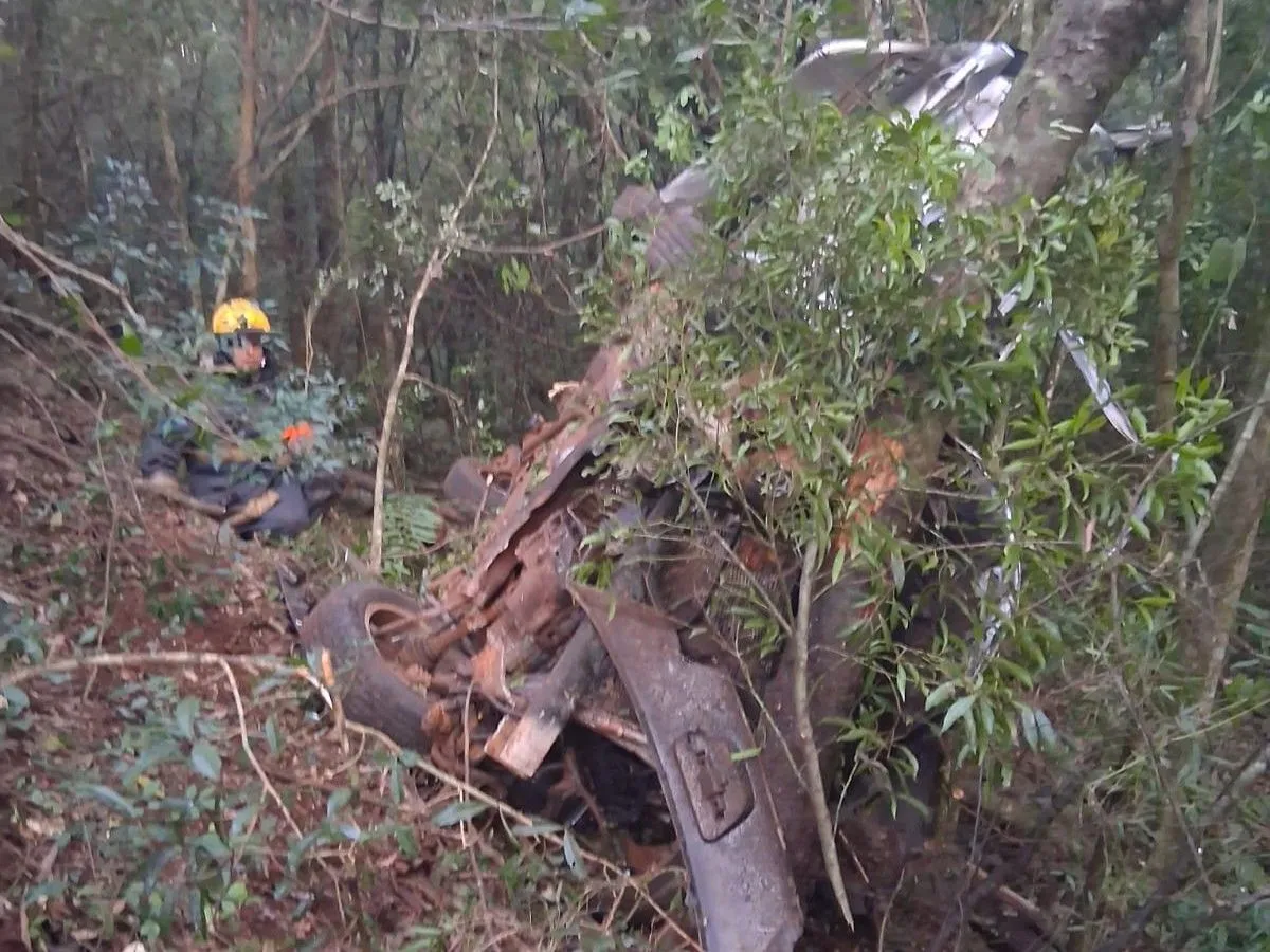 Murió un penitenciario tras despistar y chocar contra árboles en Bonpland