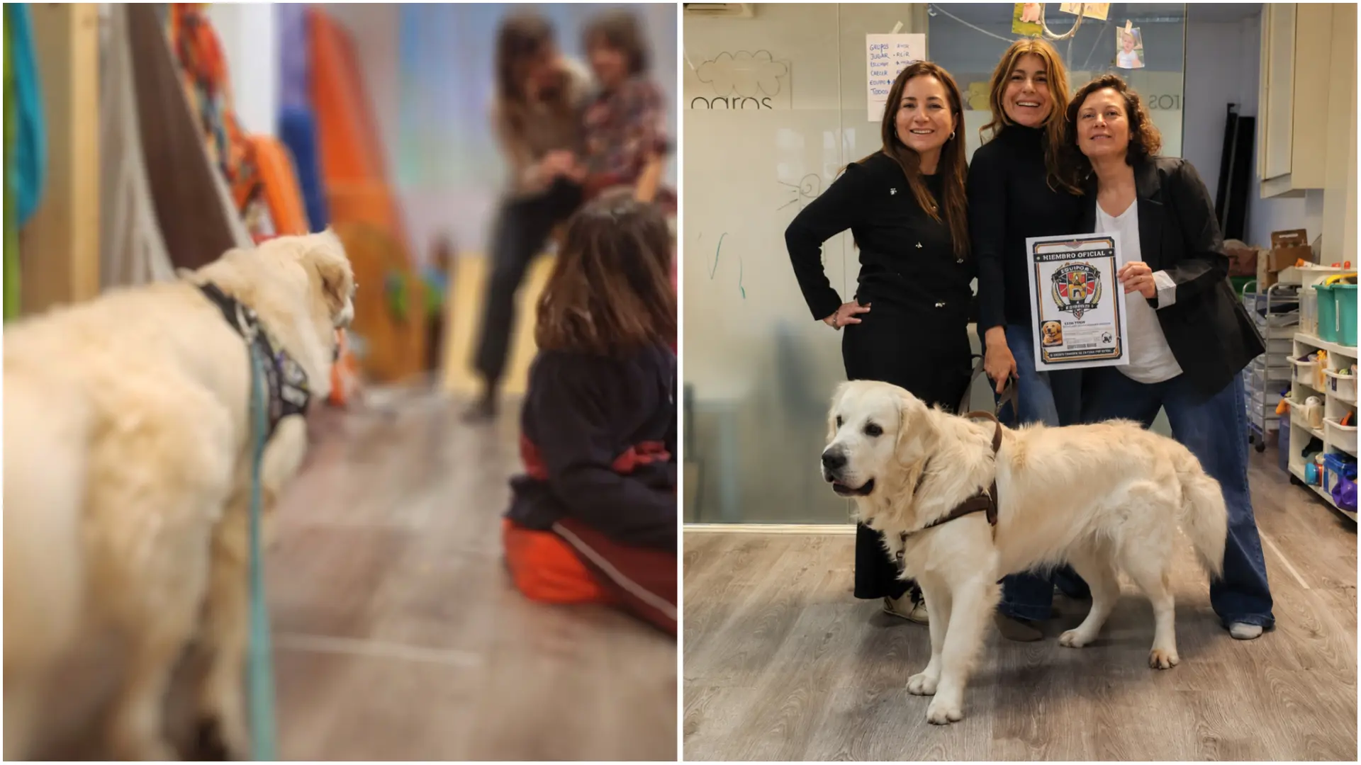 Perros y aulas: el proyecto que utiliza el vínculo animal para ayudar a niños con dificultades