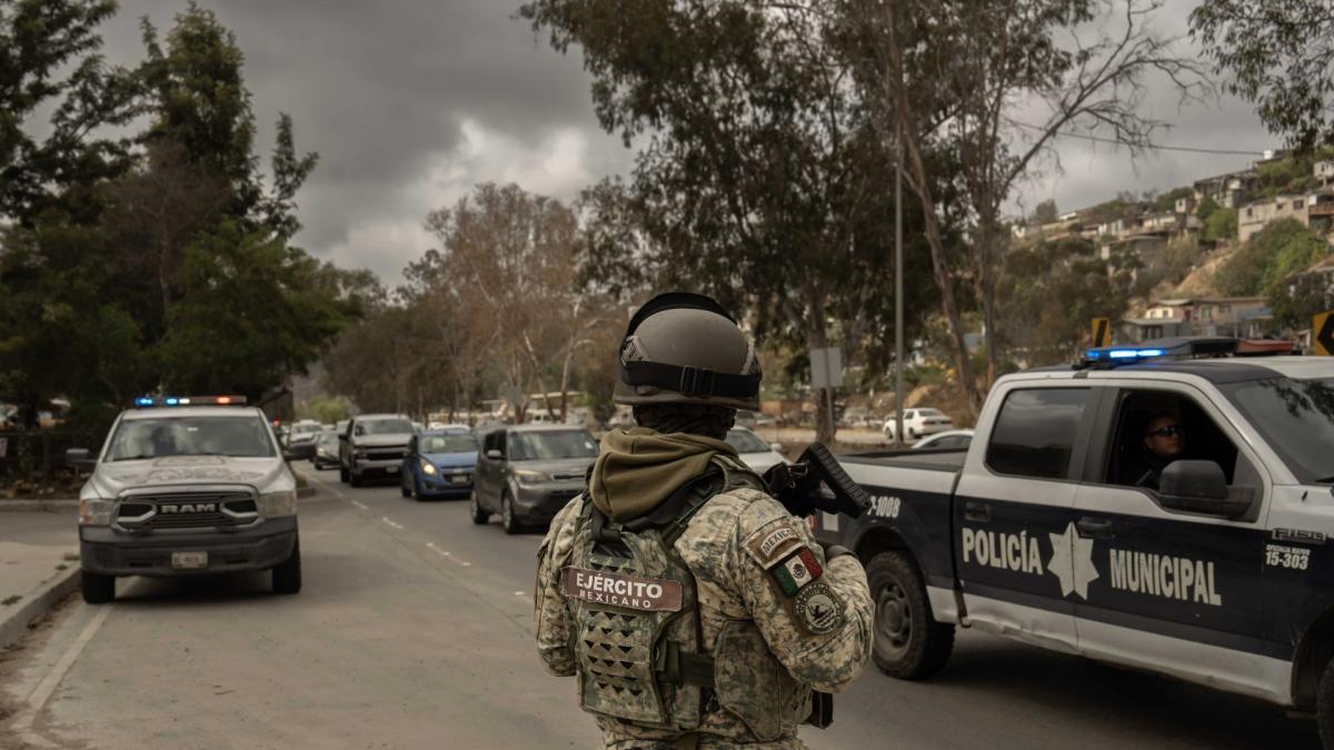 American Society propone Tratado de Lucha Contra el Crimen
