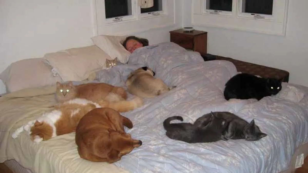 ¿Dormir con las mascotas sí o no? Qué dicen los expertos en higiene del sueño sobre esta constumbre