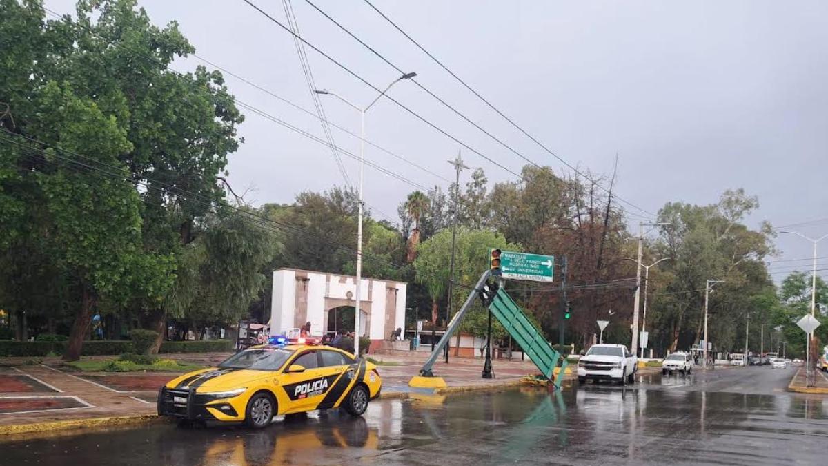 Lluvias dejan semáforos y árboles caídos en Durango