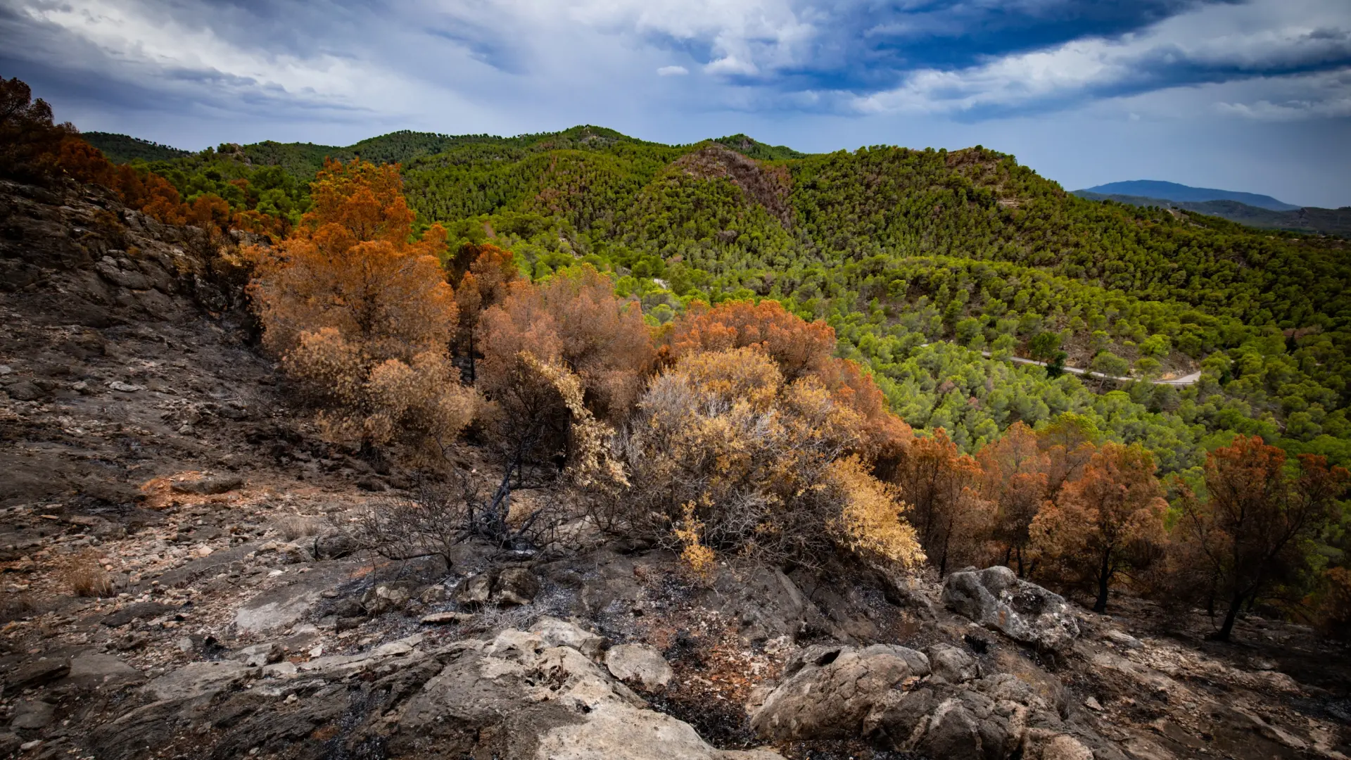 Un día para concienciar sobre el cambio climático