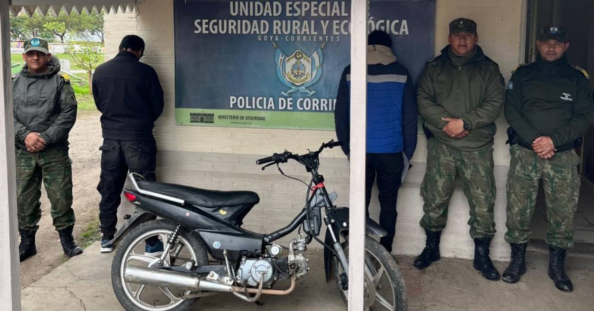 Goya: dos detenidos por robo de ganado tras una investigación tecnológica