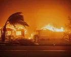 Wildfires devastating richer areas but fewer hectares burned globally - study