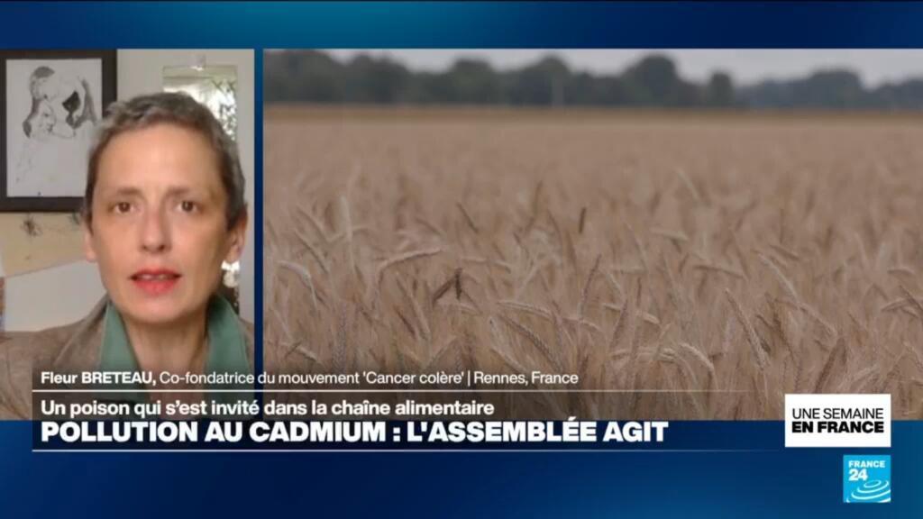Pollution au cadmium : un texte adopté par les députés pour limiter l'exposition de la population