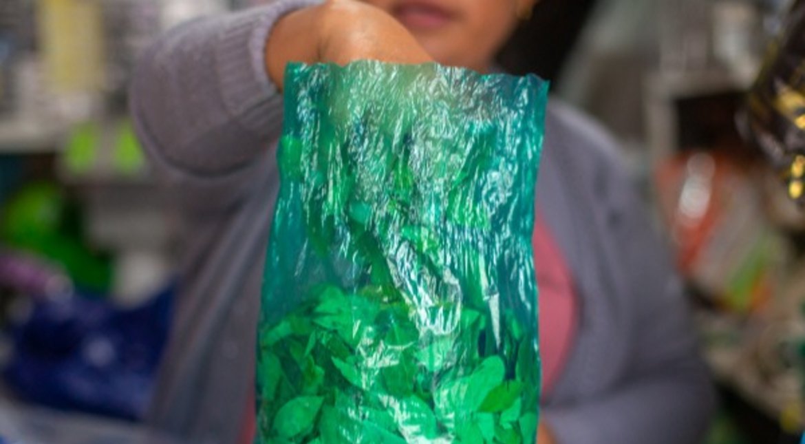 Diputados salteños apoyan legalizar la hoja de coca