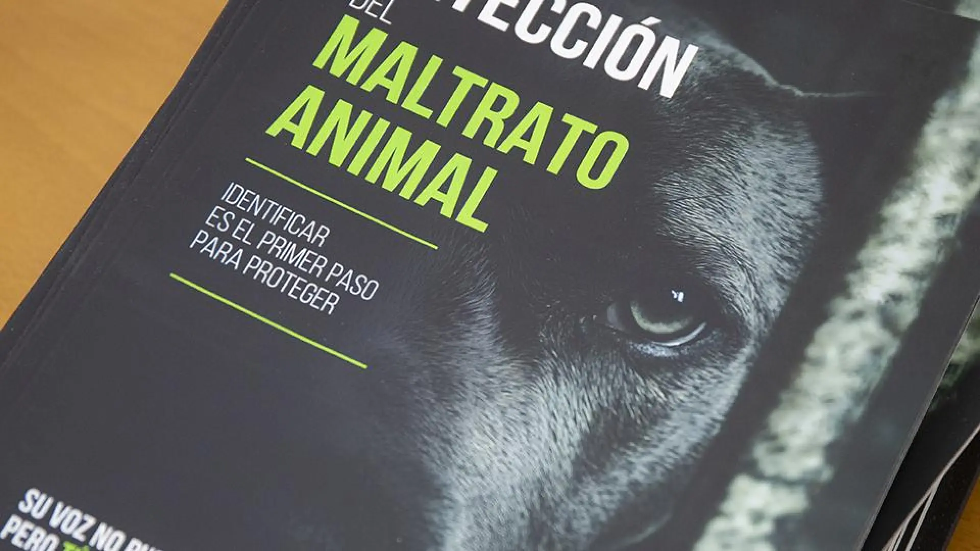 Una nueva guía alerta de que el maltrato animal puede ser señal de otras violencias