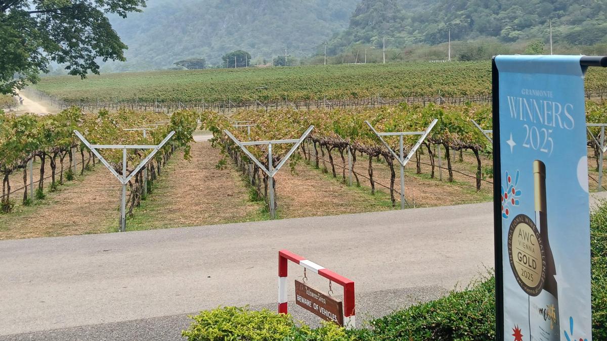 Así prospera la gran bodega de Tailandia, expuesta al monzón y a los macacos
