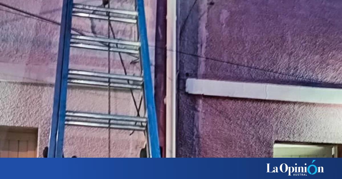 Río Gallegos: bomberos rescataron a un gatito atrapado en un techo