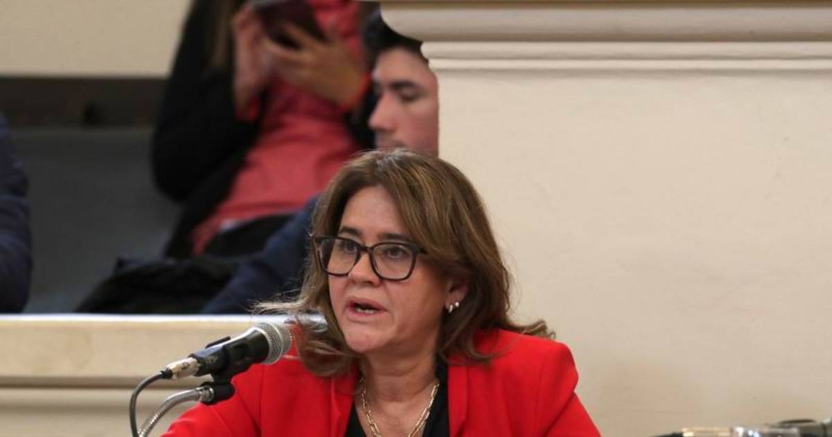 Ficha Limpia en Corrientes: qué propone el nuevo proyecto presentado en Diputados