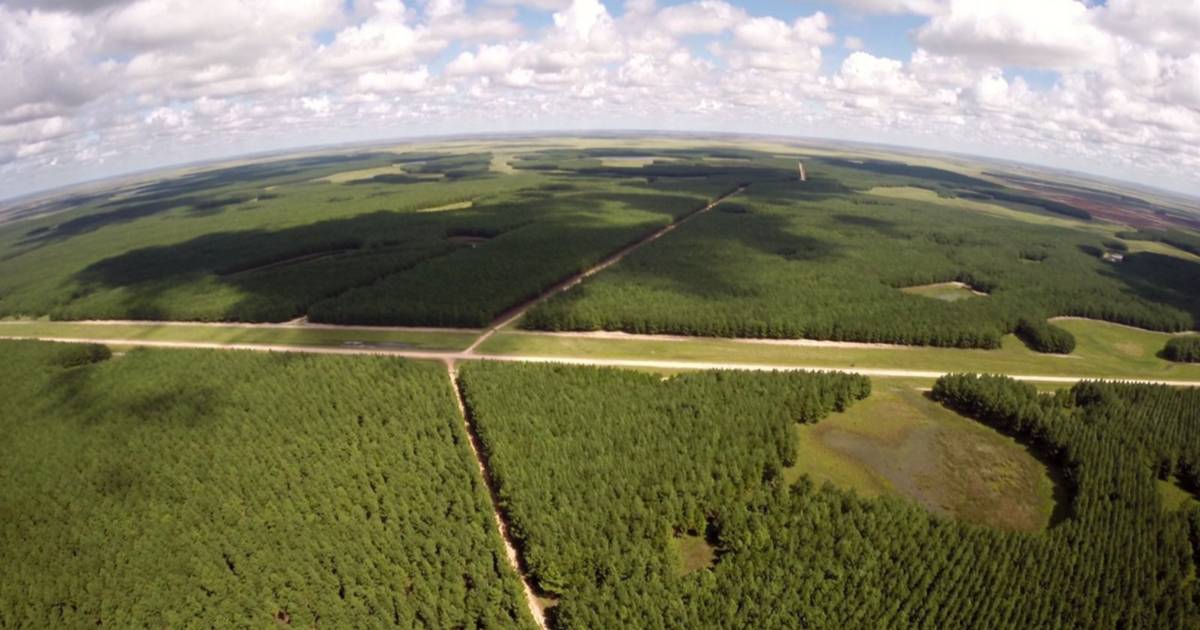 Bonos Verdes en Corrientes: el proyecto para financiar el desarrollo provincial