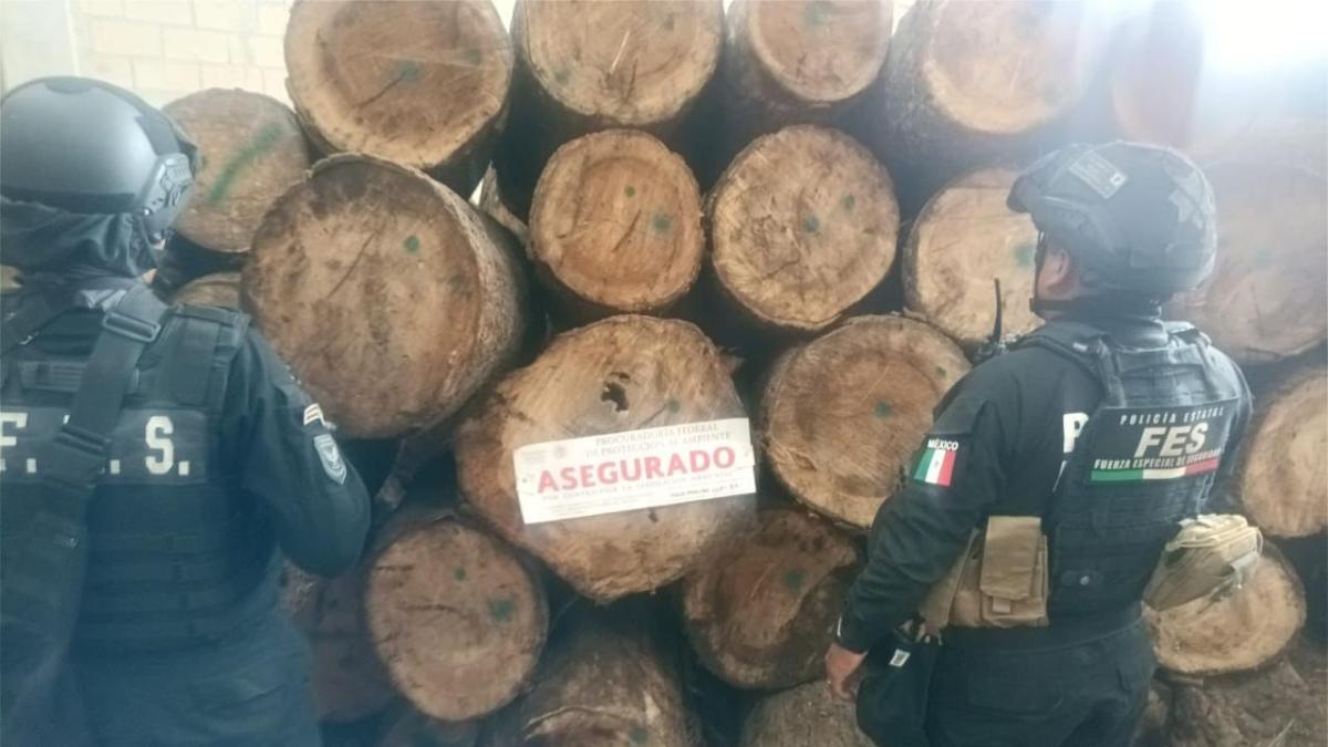 Aseguran predio usado para almacenar madera talada ilegalmente