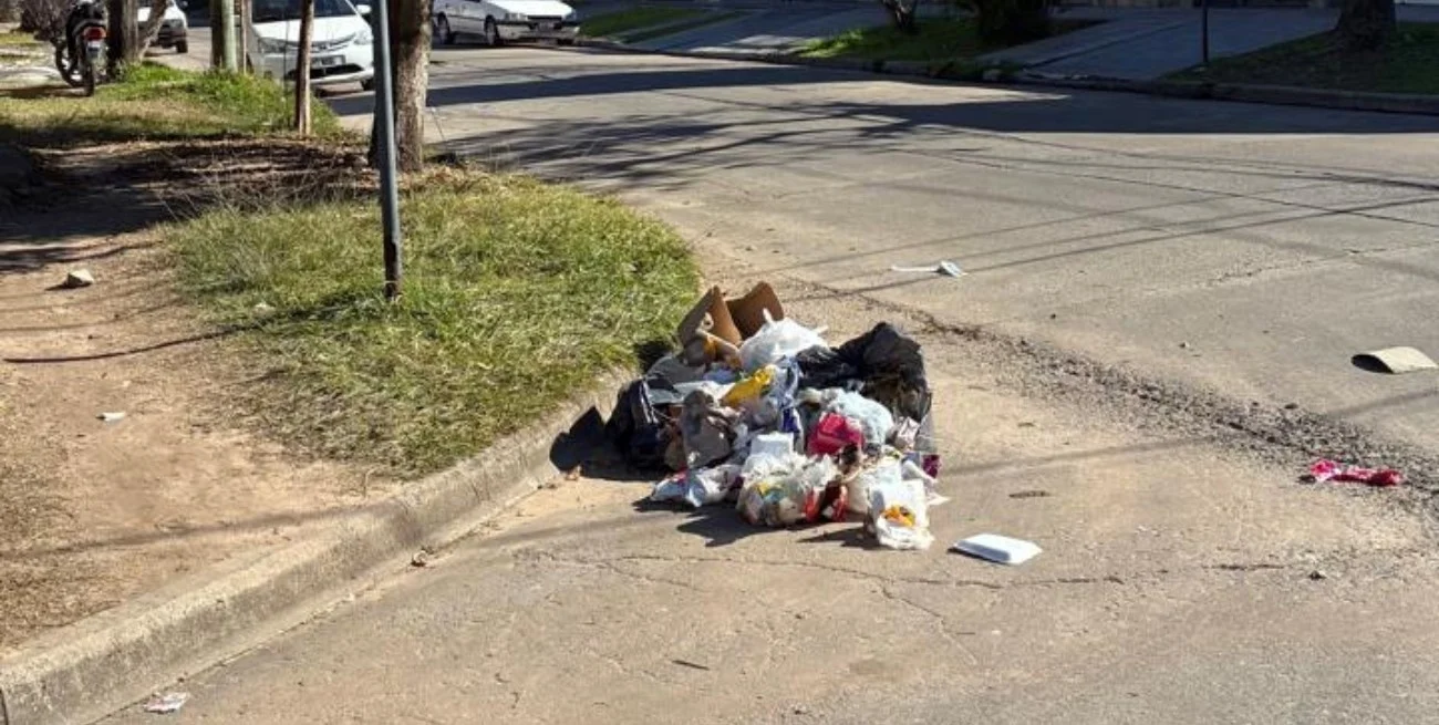 Basura acumulada en San Martín y Llerena