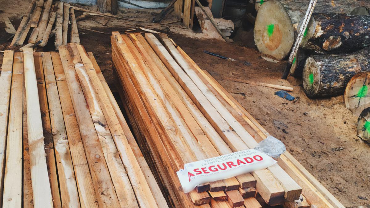 Clausuran obras en municipios del Edomex por tala ilegal de árboles