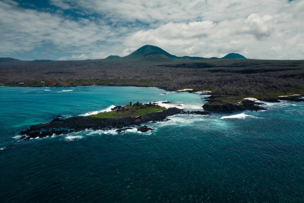 En la isla Floreana, la IA vigila día y noche para traer de vuelta a sus especies en Galápagos