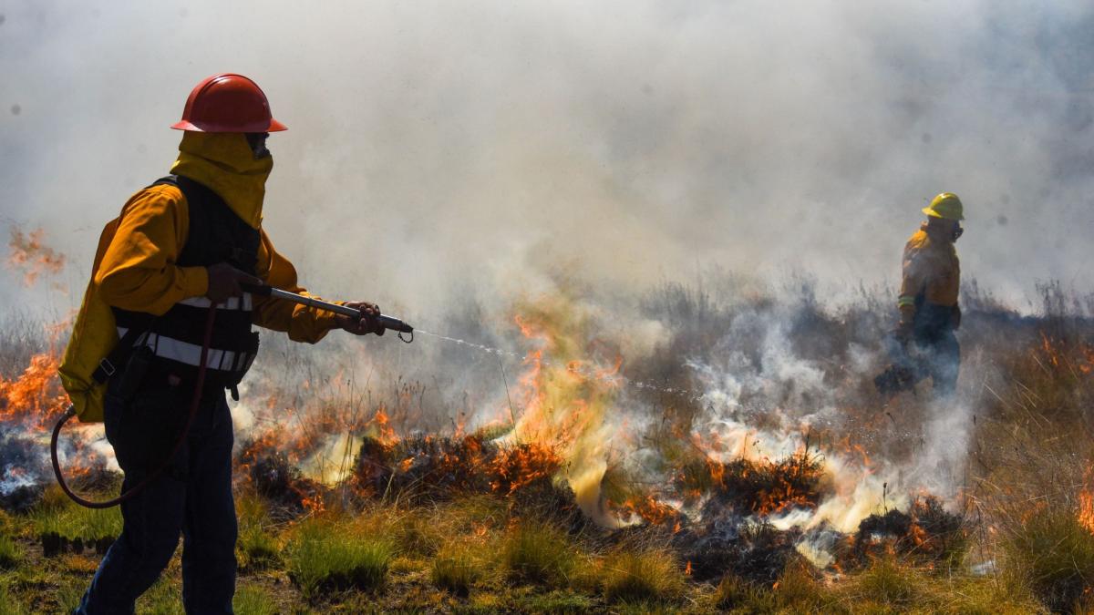 Estudiantes del IPN desarrollan aplicación con IA para prevenir incendios forestales