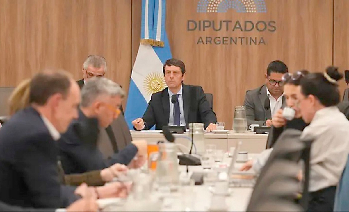 Buscan excluir a funcionarios del régimen de inocencia fiscal | La Arena - Noticias de La Pampa y el país