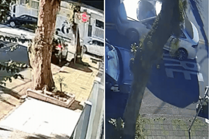 Motorista identificado após atropelar mulher diz que não notou acidente no litoral de SP; VÍDEO
