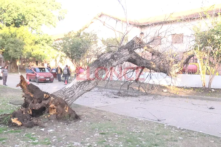 Confirmaron que son cinco las personas heridas tras la caída de un árbol en feria de la Escuela Hogar