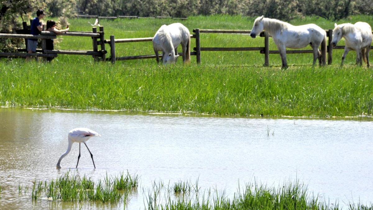 El Govern deberá destinar al menos 100 millones al año a la conservación de naturaleza
