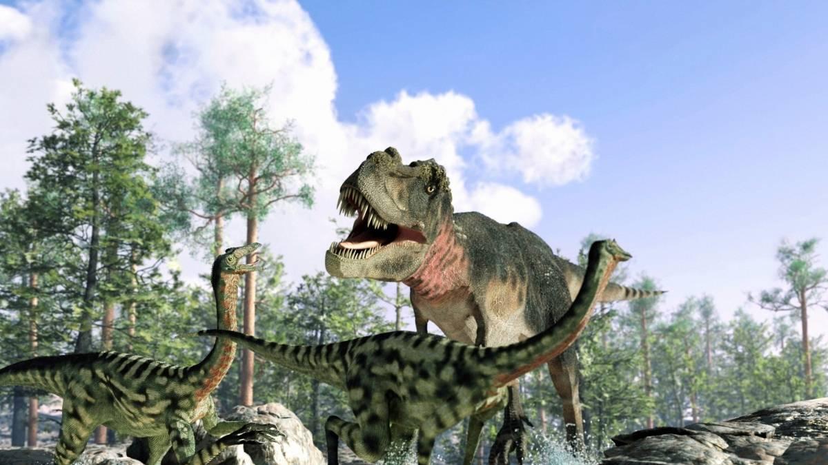¿Por qué el T-rex tenía brazos tan pequeños? Un estudio da una respuesta