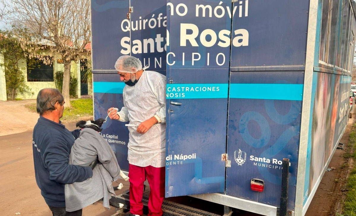Se realizó una jornada de castración y vacunación en Zona Oeste Quintas