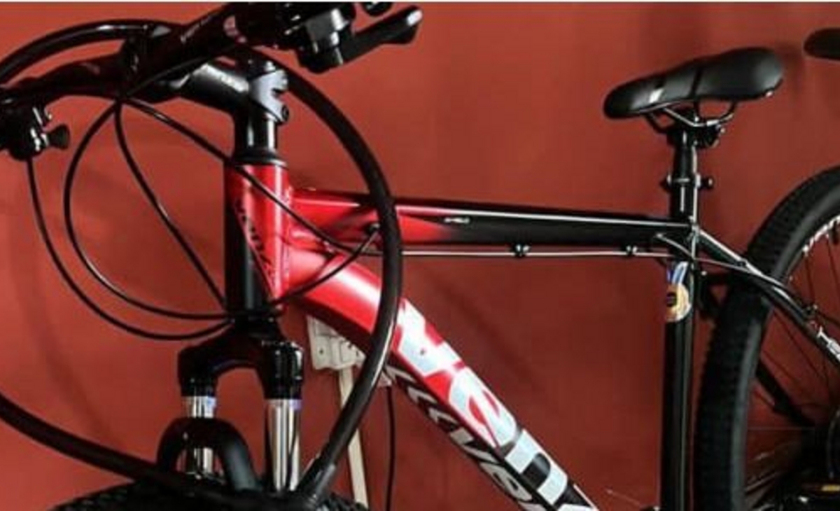 Piden ayuda para encontrar una bicicleta robada