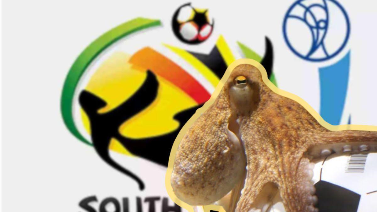 ¿Recuerdas pulpo Paul? Esto ocurrió después del Mundial de Sudáfrica 2010