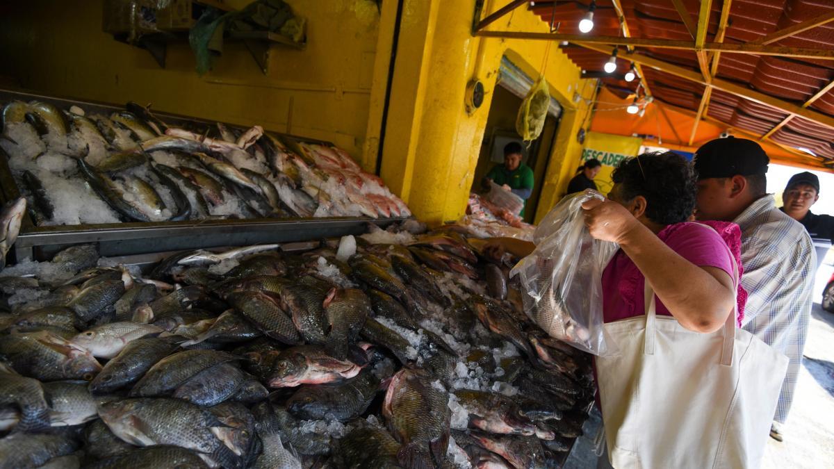 Por esta razón no debes guardar el pescado en envases de plástico