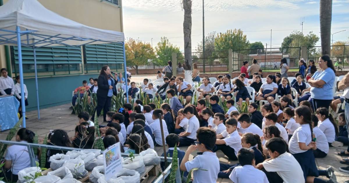 Una escuela de Corrientes firmó un convenio con Agrarias para crear un vivero escolar