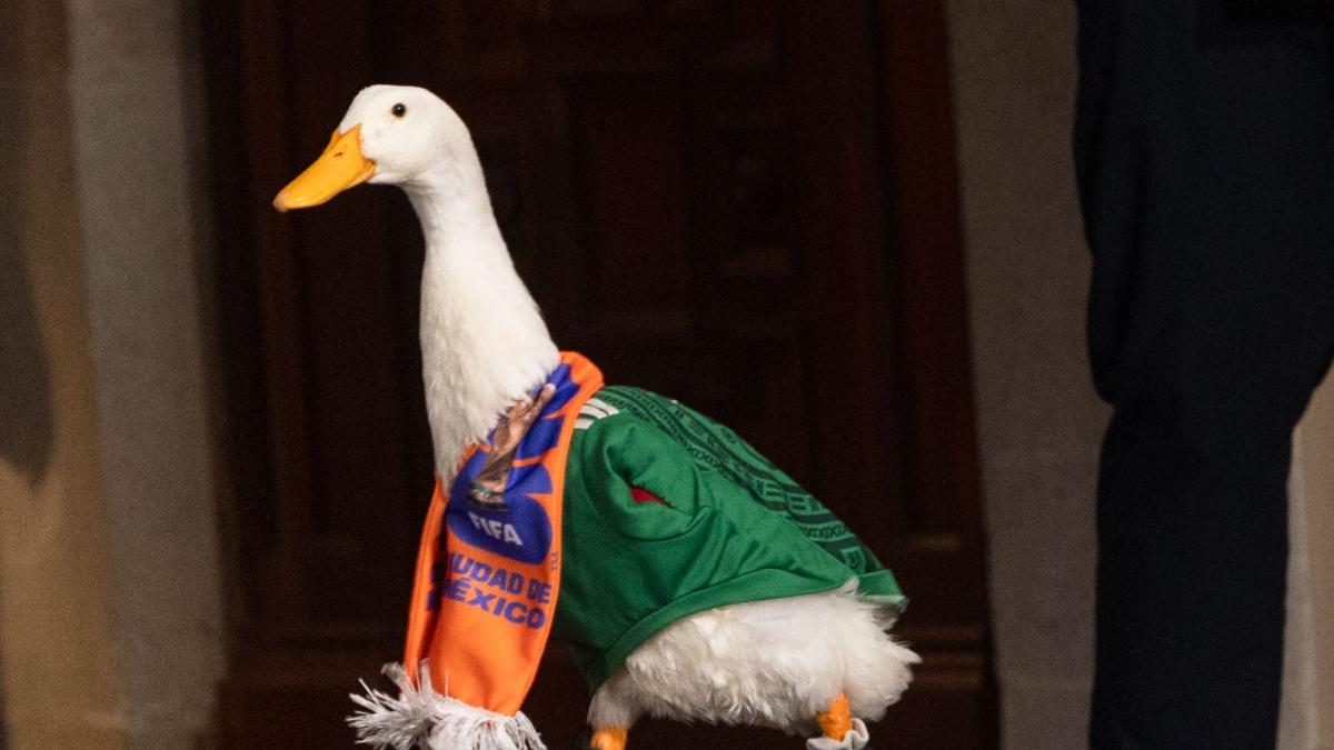 El Pato Merlín, del boom en redes sociales a la disputa en el IMPI por sus derechos
