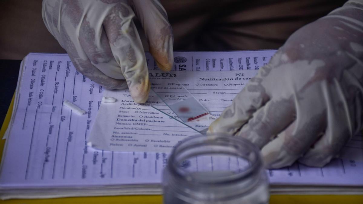 Detectan un caso de paludismo en persona que asistió al Mundial en Jalisco