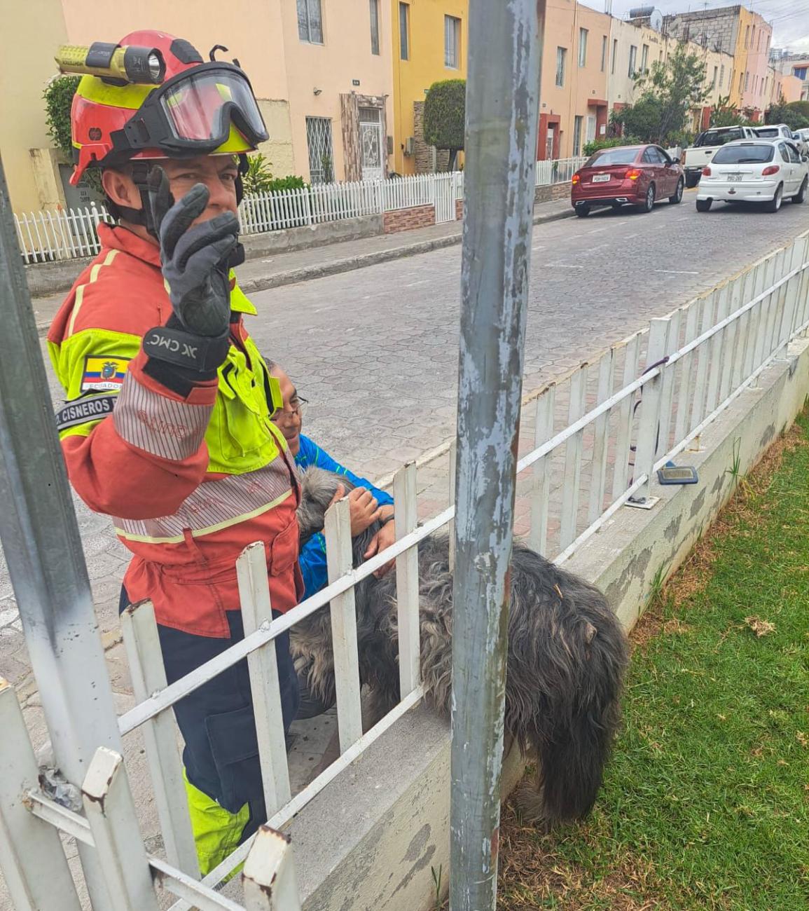 ¡Final feliz! Rescatan al perrito Pancho de unas rejas en Quito